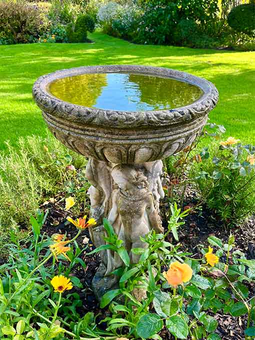 Water in a bowl in the garden.