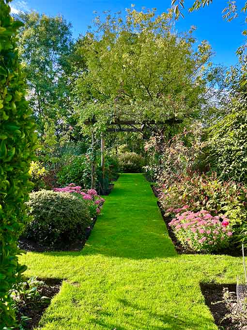 Grass Pathway through a Garden