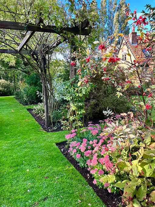 grass Path going past pink and red flowers