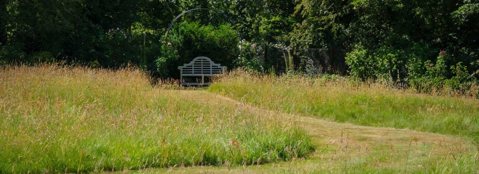 Picture of Field with bench in Background