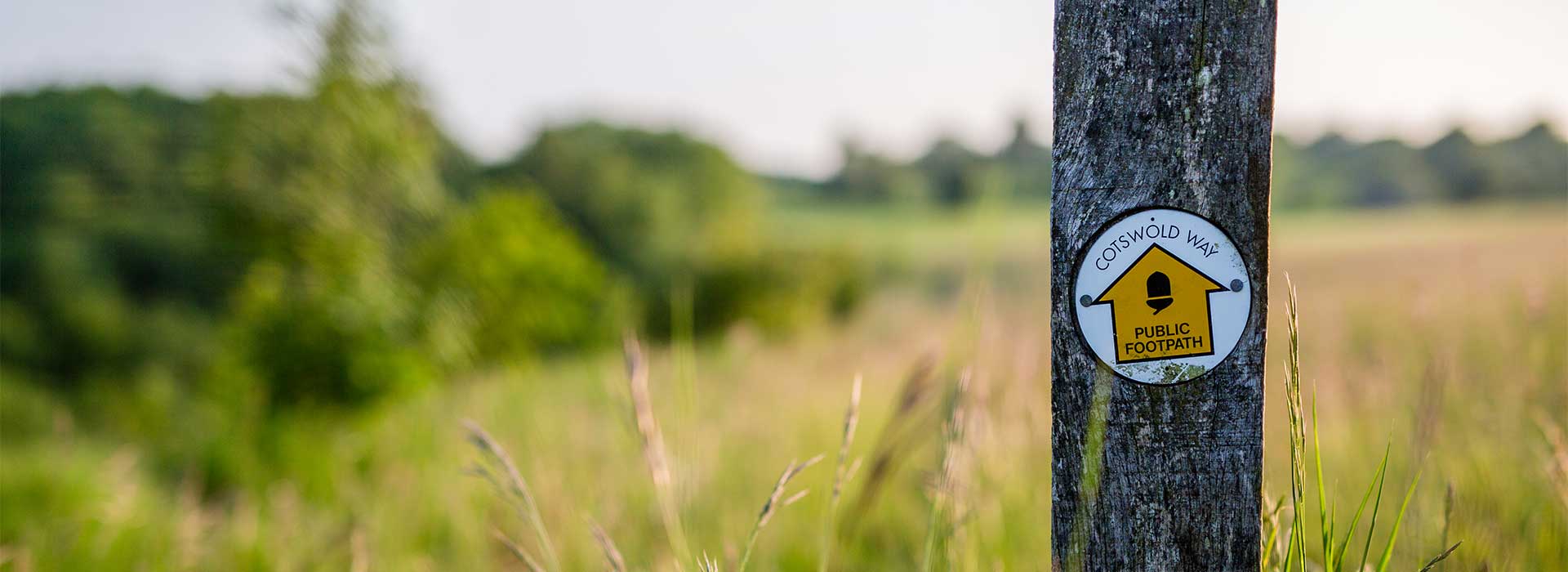 Grassy Public Footpath with wooden post and sign saying so