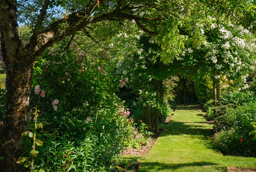 Archway of various Plant life.