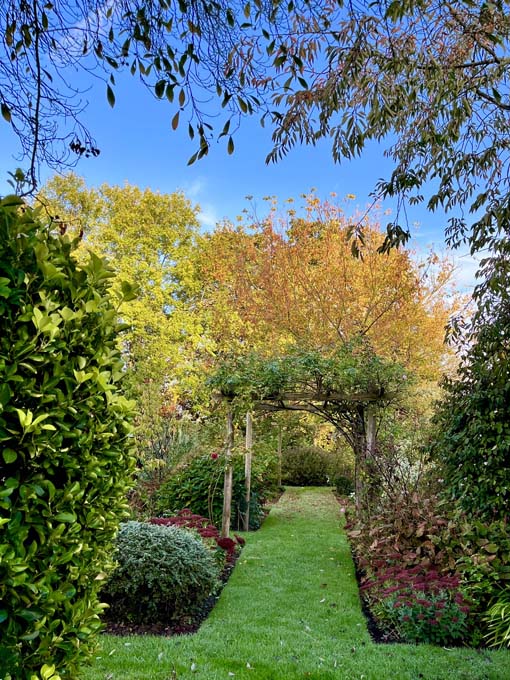 Grass pathway surrounded by bushes and flowers.