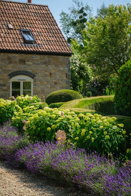 Hedges with pond cottage in the background