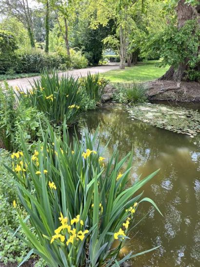 Wildlife pond by pathway
