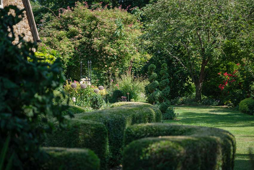 Mix of Hedges and trees connected by a grass path.