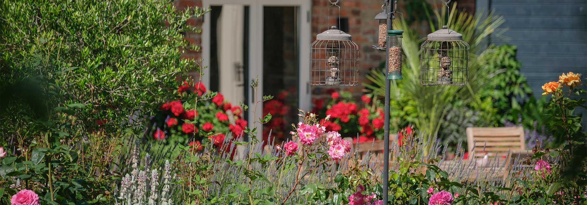 Garden with Bird Feeders
