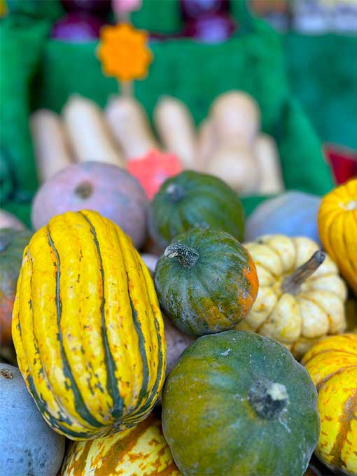 A-Saturday-in-Stroud-7