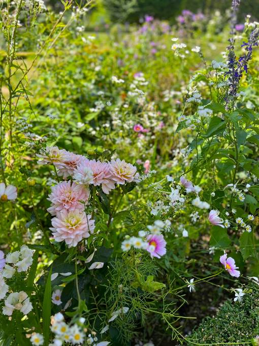 Blog2