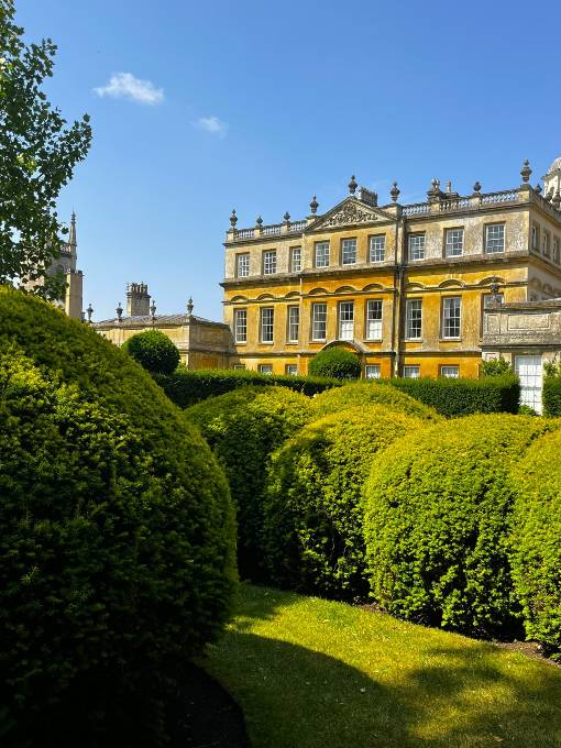 Blog7