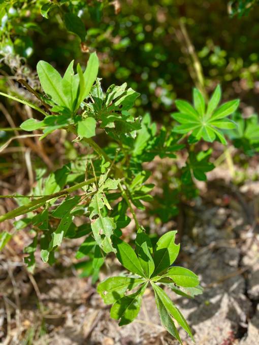Blog8