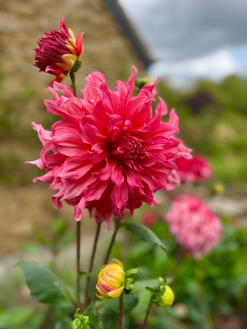 Blog9
