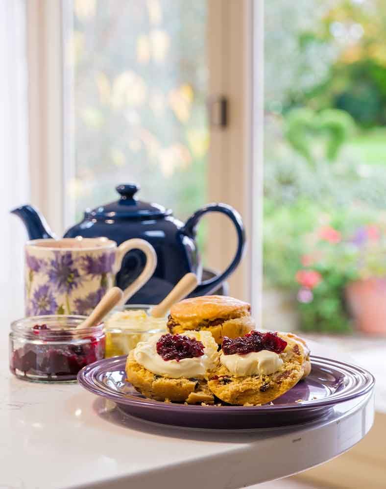 Cream Teas & Tea Pot with Cup of Tea & Garden in Background.