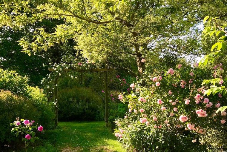 Grass pathway going alongside flowers and trees.