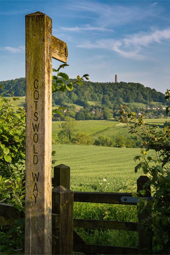 Cotswold Way Sign post leading to Field