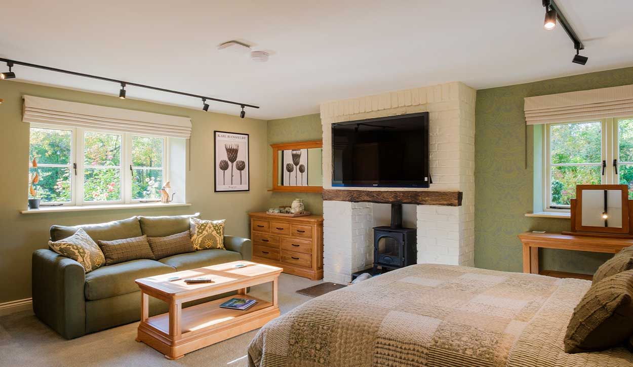 Garden Room Bed and Sofa, with TV and Windows in the Background.